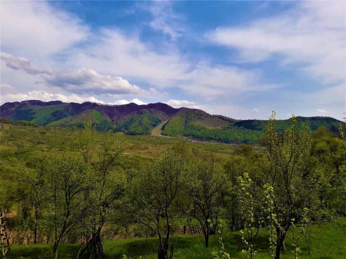 فندق Casa Din Piatra Poiana  المظهر الخارجي الصورة